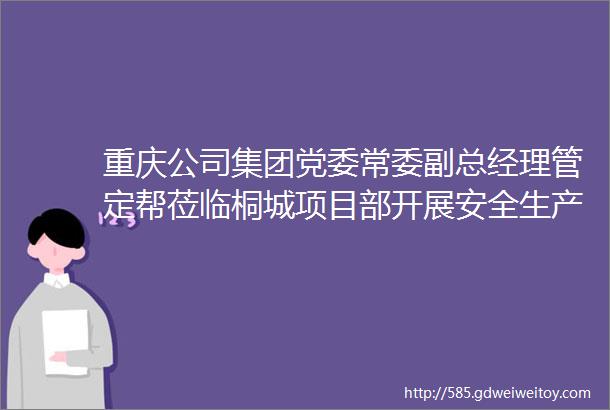 重庆公司集团党委常委副总经理管定帮莅临桐城项目部开展安全生产调研